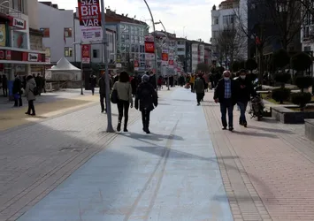 CHP yine heykel peşinde! Bolu'ya 10 metrelik bozayı heykeli