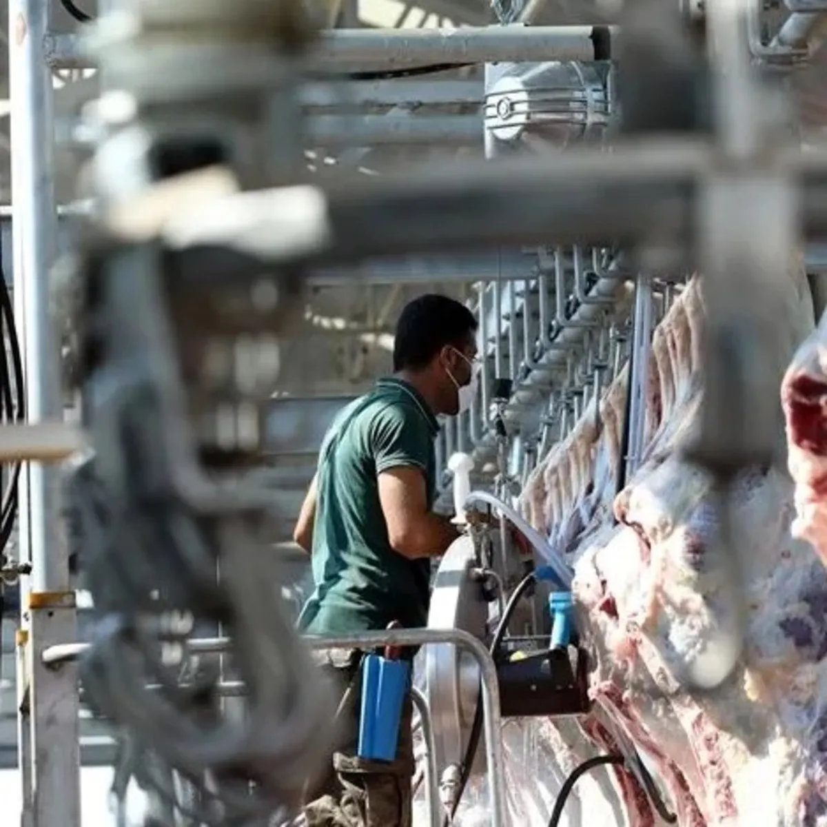 Kesimhanelerde yeni dönem: Kameralar 7/24 kayıt altında olacak