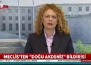 Son dakika: TBMM’de 4 partiden Doğu Akdeniz için ortak bildiri |Video