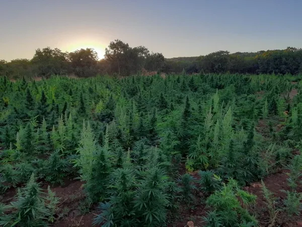 Terör örgütü PKK’nın finans kaynağına bir darbe daha