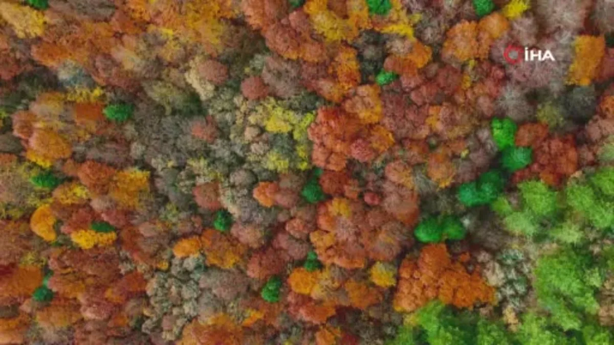 Bolu Gölcük Tabiat Parkı'nda mest eden sonbahar görüntüsü