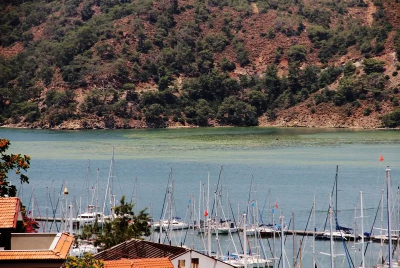 Fethiye Korfezi Nde Alarm Sari Ve Yesile Burundu