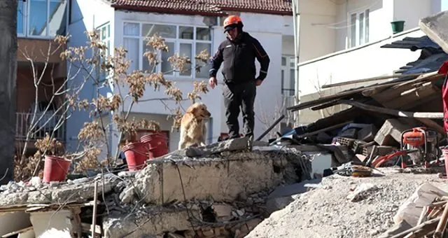 SON DAKİKA: Elazığ'daki deprem arama-kurtarma çalışmalarına onlar da katıldı! Harekete geçtiler