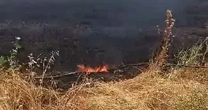 Batman’da 18 dönüm ekili buğday yandı