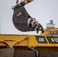 Yeni tehlike Cluster-5 virüsü! 17 milyon vizon toplu mezarlara gömüldü