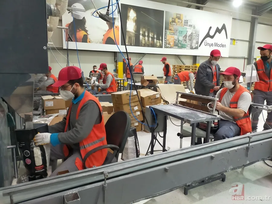 Dünyanın en büyük bentonitin yatağı Ordu’da! Osmanlı’nın şifa kaynağı: Ülkeler sıraya girdi 6