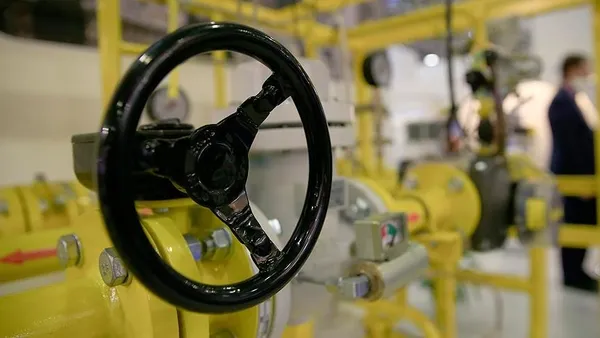 Son dakika: Enerji ve Tabii Kaynaklar Bakanı Fatih Dönmez'den doğal gaz açıklaması - 2