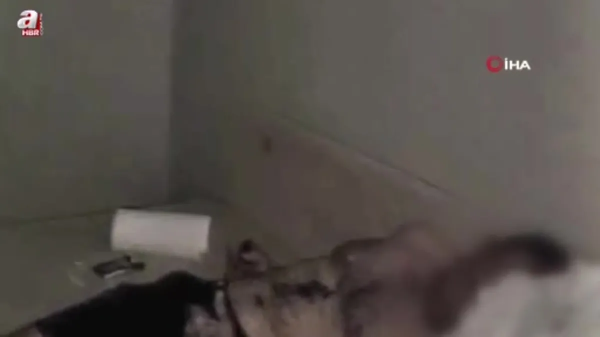 Kocasına "bu çocuk bizi öldürecek" dedi 1 saat sonra öldü