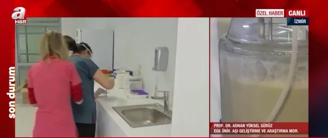 Koronavirüse karşı yerli “DNA” aşısı! DNA aşısı nedir, nasıl üretiliyor - 6