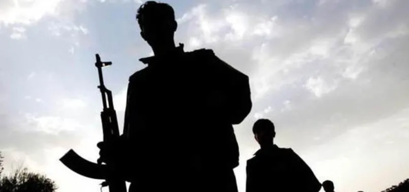 Ağrı'da terör saldırısı