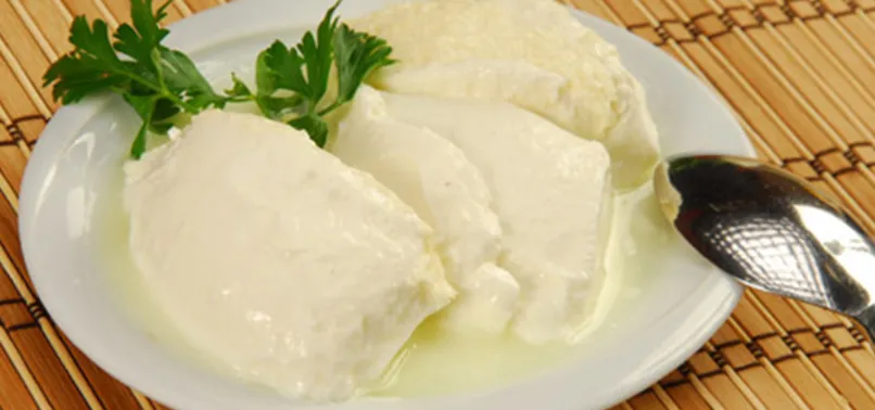 Uzmanlar uyarıyor! Yediğiniz yoğurt hijyene uygun değilse sağlığınız için tehlikeli