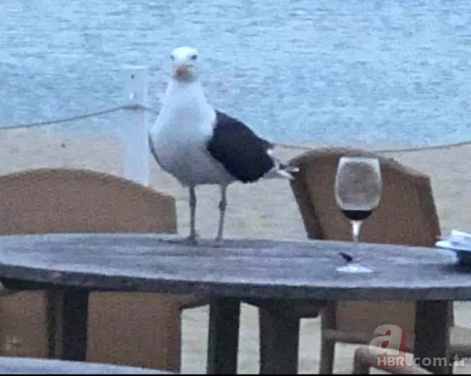 Oltasına takıldı! Neye uğradığını şaşırdı 23