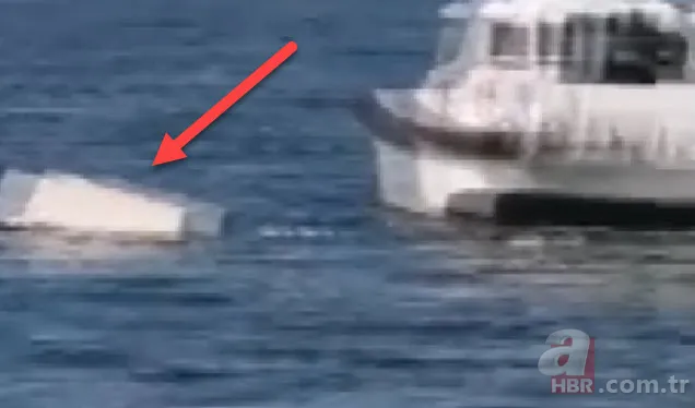 Balıkçılar oltayla yakaladı! Tam 317 kilo | 4 saat 45 dakika mücadele ettiler 🐟 10