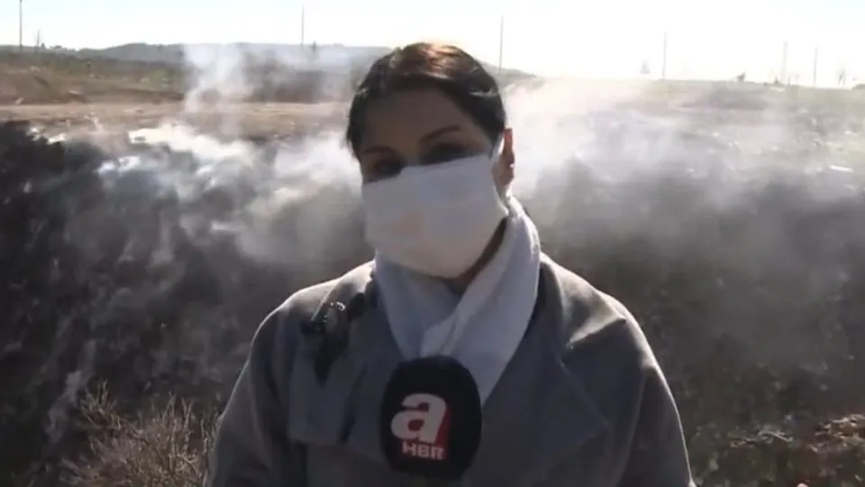 Son dakika: İzmir’de çevre katliamı