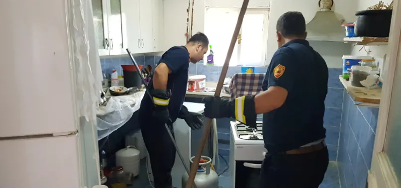 Kahvaltı hazırlarken yılanlar evi bastı!