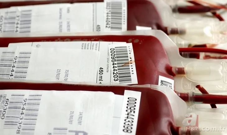 Hangi kan grubu nasıl beslenmeli? İşte kan grubuna göre tüketilmesi gereken besinler