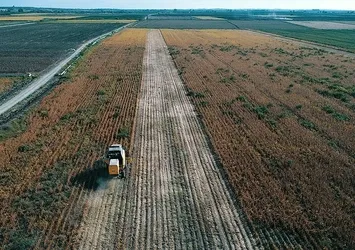 Türk tarımı dünya markası olacak