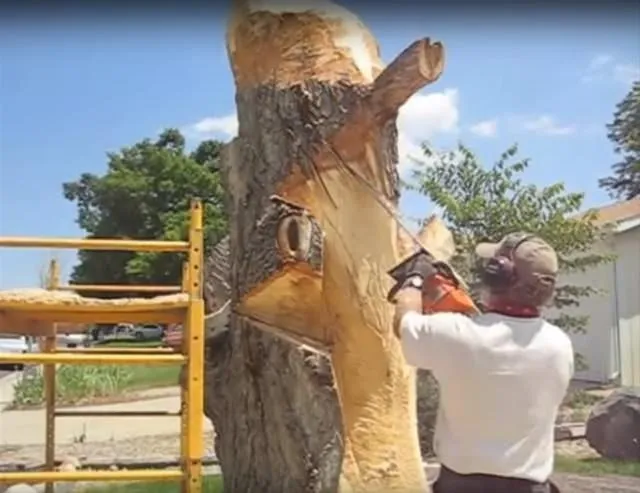 Kurumuş ağaçtan sanat eseri yarattı