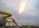Rusya gazı kesip tek şartını açıkladı!