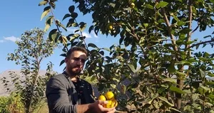 Armut diye yetiştirdi bakın ne çıktı!