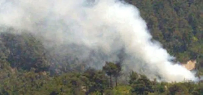 Adana’da orman yangını! 3 dönüm alan kül oldu