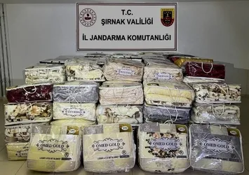 Şırnak'ta kaçakçılık operasyonu: 17 gözaltı