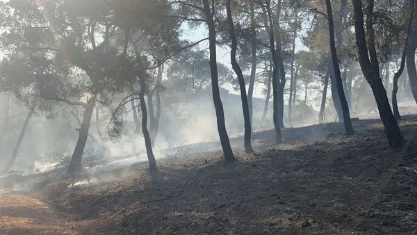 mugla-seydikemerde-orman-yangini-5-helikopter-ile-mudahale-ediliyor-1629820623889.jpg Muğla Seydikemer'de orman yangını! 5 helikopter ile müdahale ediliyor - 1