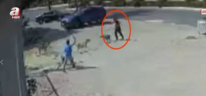 Pitbull 8 yaşındaki çocuğa saldırdı