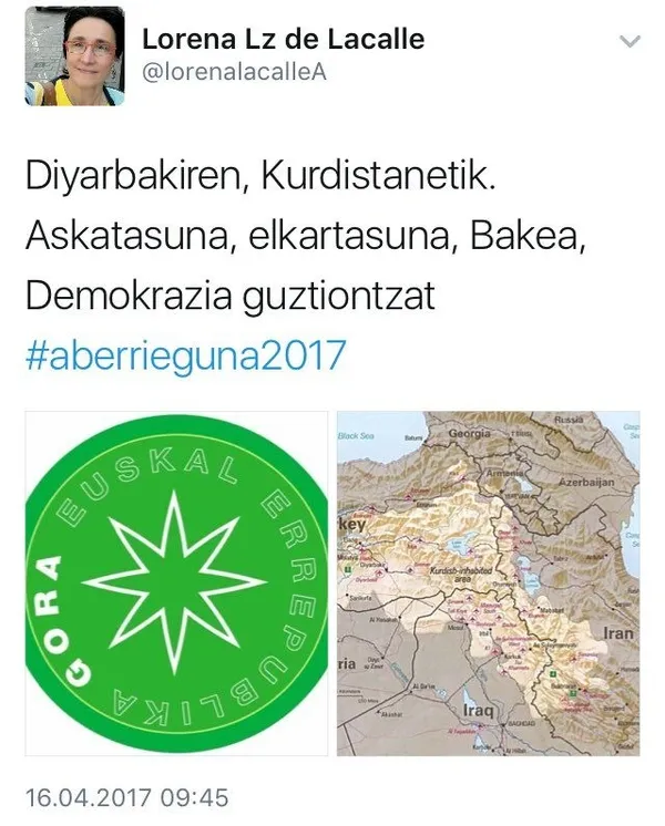 AGİT'in gözlemcileri terör destekçisi çıktı - 1
