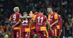 Aslan nakavt sonrası ayağa kalktı