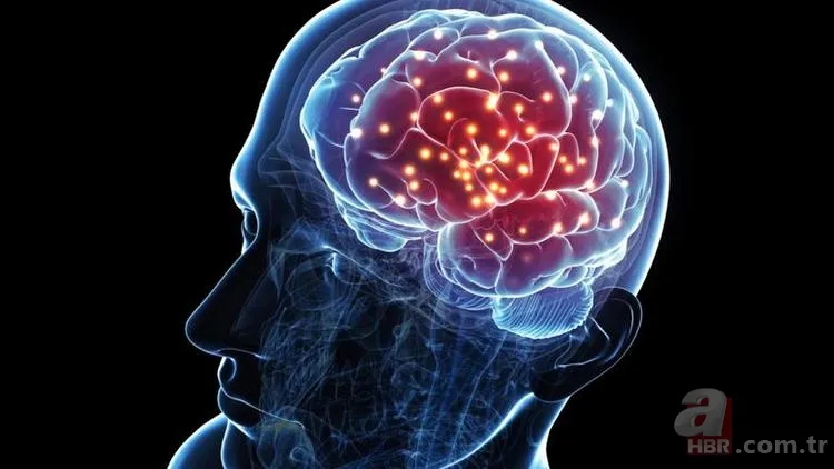 Beyni geliştiren kritik besinler 1