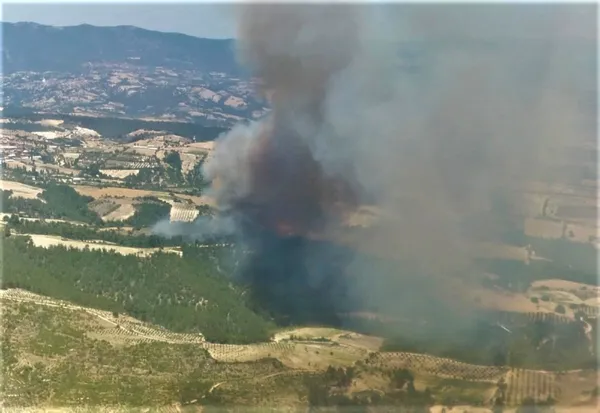Son dakika: Manisa'da orman yangını çıktı! Havadan ve karadan müdahale ediliyor - 2