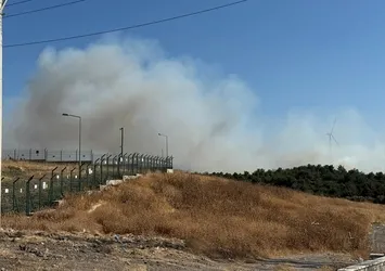 Urla’da orman yangını: Alevler kontrol altına alındı