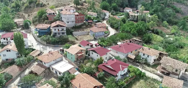 Dünyayı saran koronavirüs bu köye giremedi