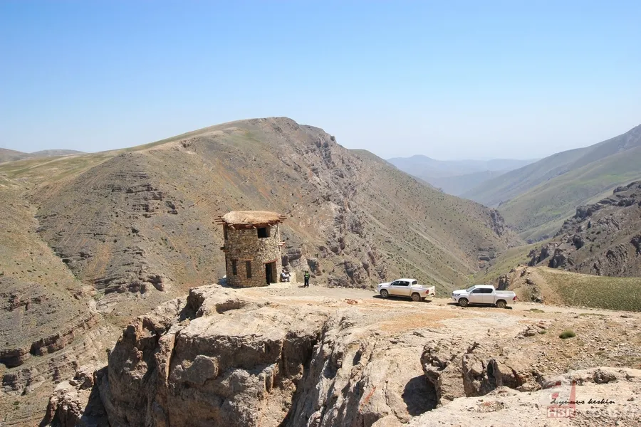 Görüntüler Trabzon’dan! Ender rastlanan türler Of’ta ortaya çıktı 7