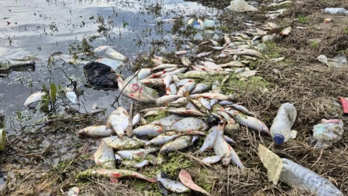 Eyüpsultan'da tedirgin eden görüntüler!