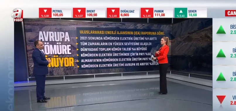 Avrupa kömüre dönüyor! Berat Albayrak gördü bir el engelledi... Yerli kömür politikası neden engellendi?