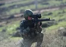 Teröre Pençe darbesi! İşte yok edilen terörist sayısı