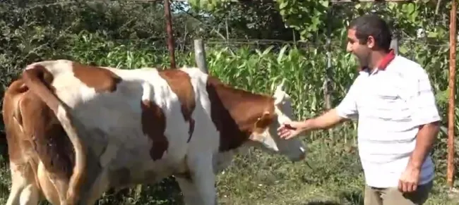 Şile’de bir emeğin hikayesi! Herkesin yardımına koşuyor