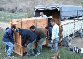 Kızıl Geyikler tabiatla buluşturuldu