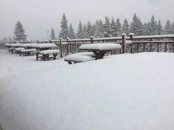 kastamonuda-kar-yagisi-etkili-olmaya-devam-ediyor-1639653454753.jpg Kastamonu’da kar yağışı etkili olmaya devam ediyor - 3