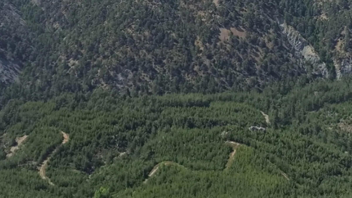 Valilik duyurdu! O ilimizde ormanlık alanlara girişler yasaklandı