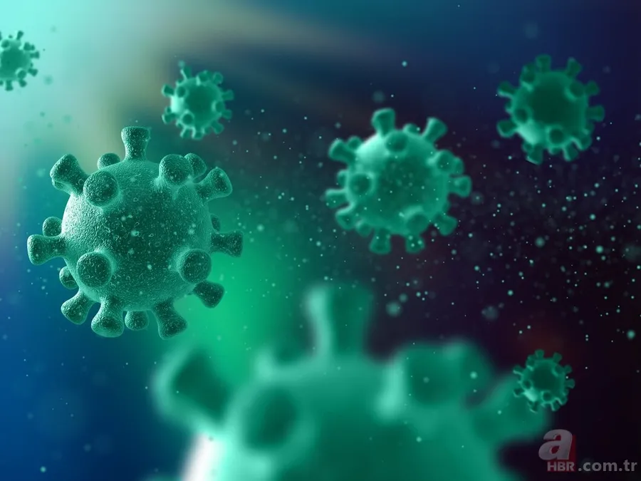 Yeni Felaket Kapıda: 500 Kat Daha Kötü Bir Tehdit Yaklaşıyor! Bilim adamından Baba Vanga kehaneti 2