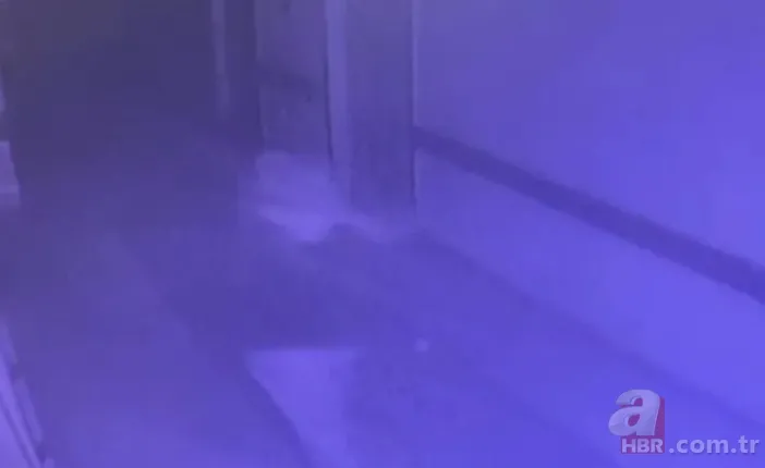 Hemşire Selen'in son görüntüleri ortaya çıktı! Sır ölümde dikkat çeken gelişme 8