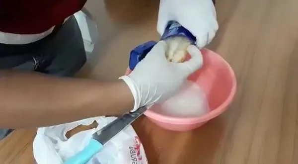 narkotik-kopegi-kadeh-buldu-esrari-bakin-nereye-saklamis-1659611930079.jpg Narkotik köpeği “Kadeh” buldu! Esrarı bakın nereye saklamış - 3