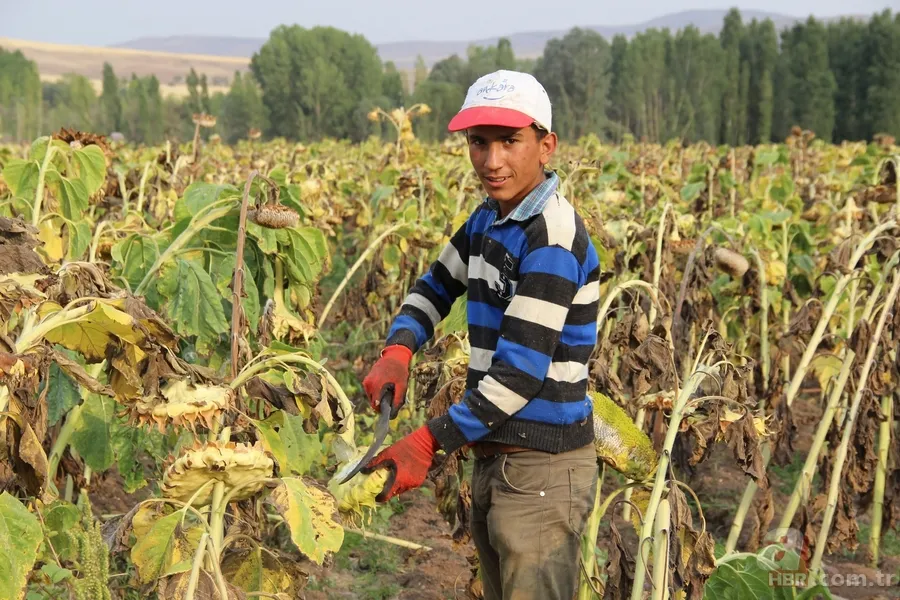 'Soğukta yapamazsın' dediler, şimdi paraya para demiyor 6