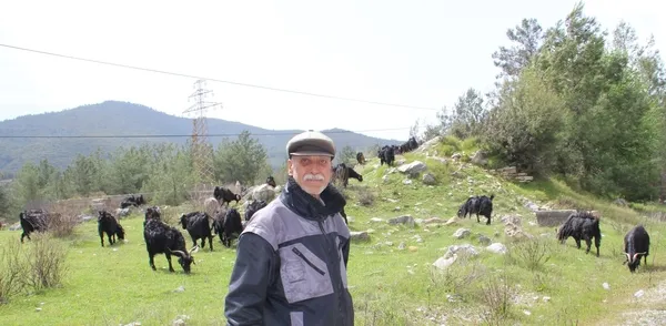 1618386564977.jpg Gençler bu mesleği seçmiyor! Çobanlar şikayetçi oldu: Parası çok hanımı yok - 1