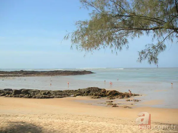 Corona virüs kehaneti Baba Vanga'yı bile geride bıraktı! Salgını 15 sene öncesinden bilmiş 25