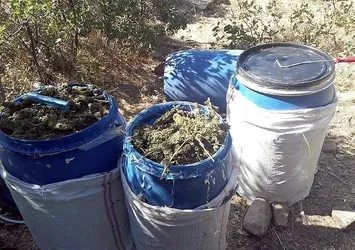 Diyarbakır'daki PKK operasyonunda 990 kilo esrar ele geçirildi