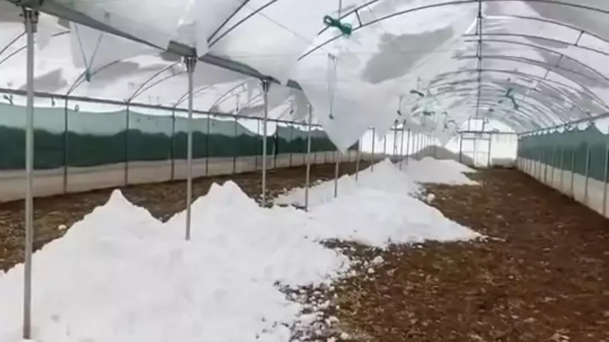 Kar birikintisine dayanamayan seralar çöktü